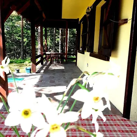 Kuca Za Odmor Durdevic Semesterbostad Divčibare