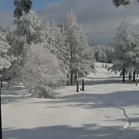 Kuca Za Odmor Durdevic Case de vacanță *