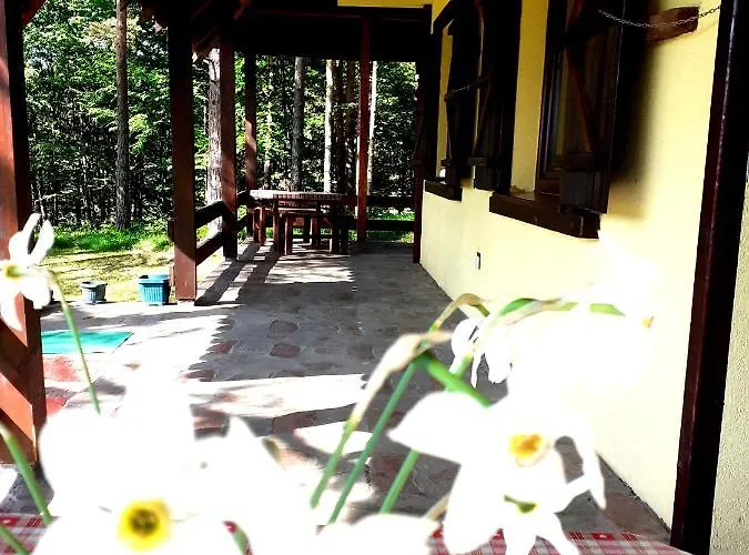 Kuca Za Odmor Durdevic بيت للعطل Divčibare