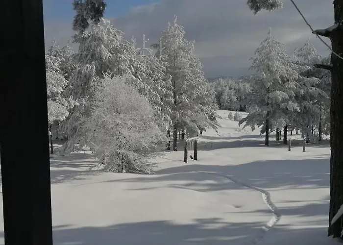 Kuca Za Odmor Durdevic بيت للعطل *